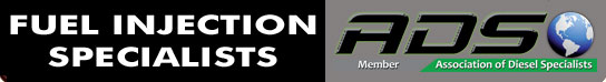 Fuel Injection Specialists